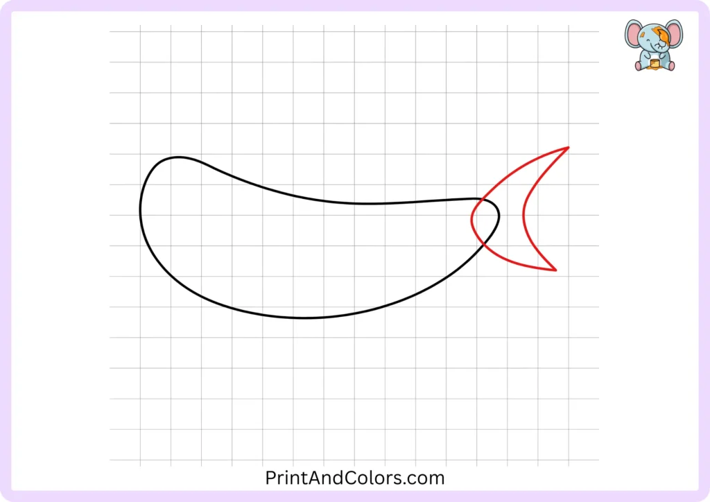 Step 3 showing a large pointed shark tail added to the rear of the body, with an upper and lower tail section connected by smooth curved lines