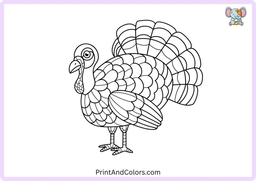 Easy turkey drawing step 13 showing the completed turkey outline with tail feathers, wing, legs, face, and feather details