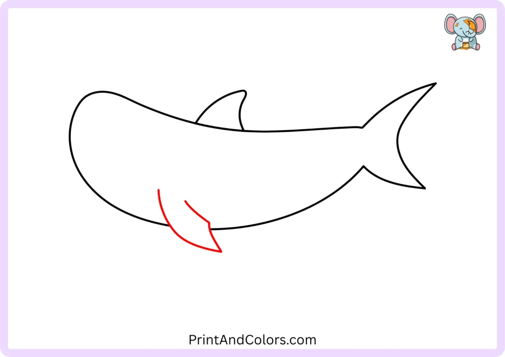 Step 5 showing a large pointed pectoral fin extending downward from the front lower side of the shark's body, created with two smooth curved lines