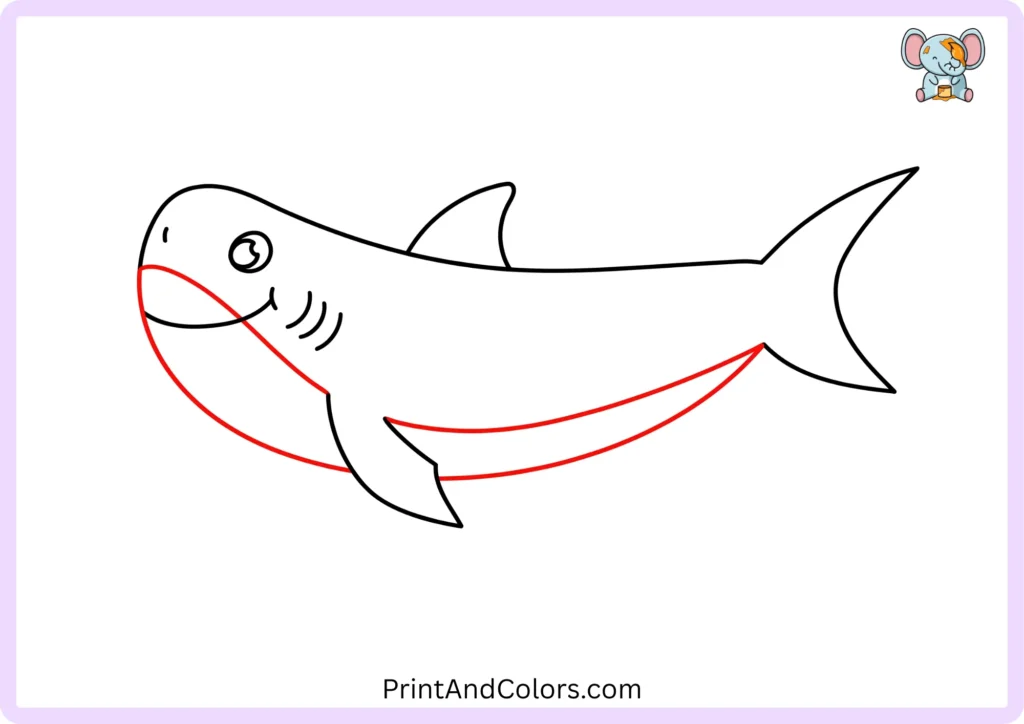Step 9 showing a small nostril near the front of the shark's snout and curved lines underneath the body separating the lighter underbelly from the upper body