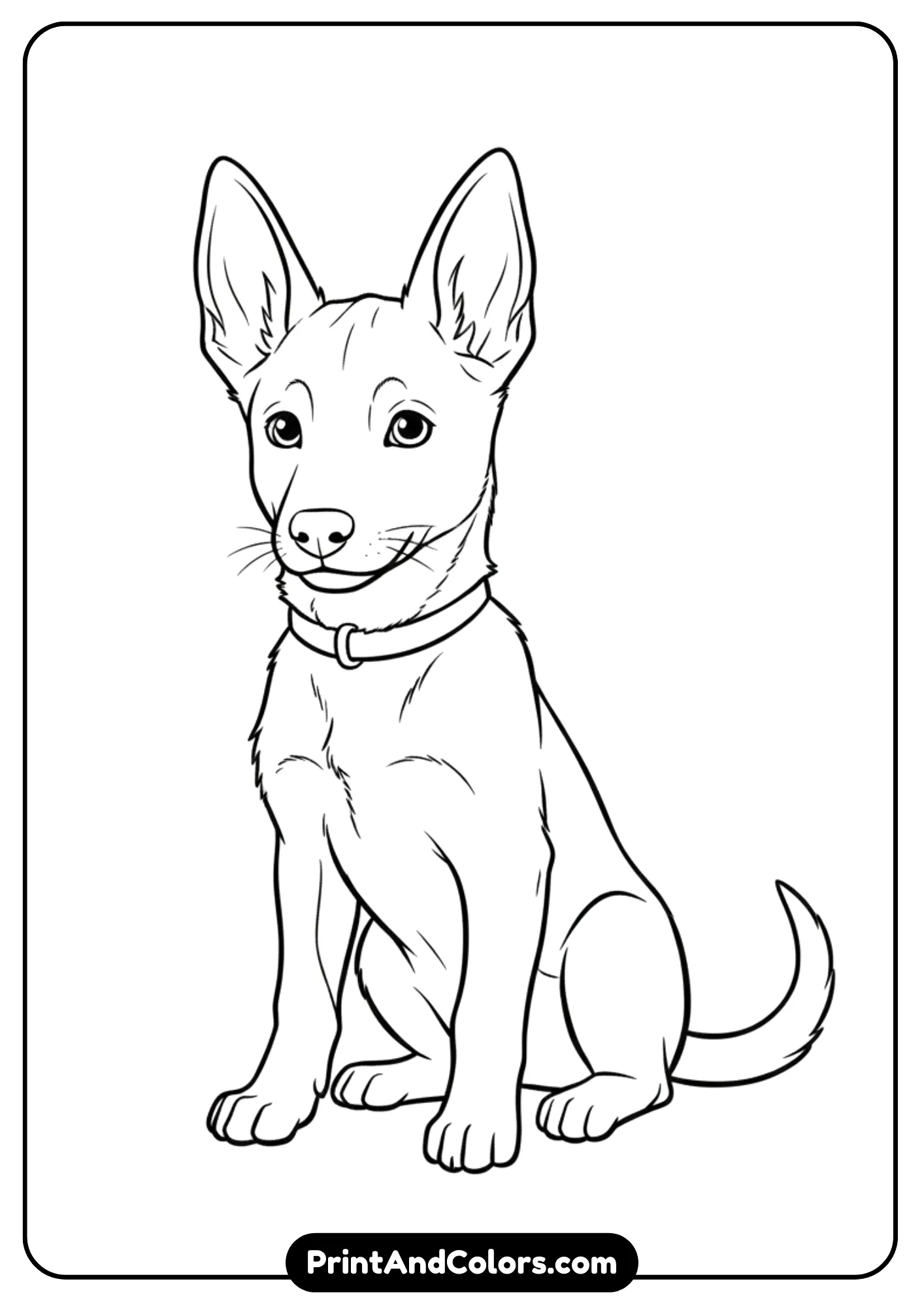 Line art of a Belgian Malinois puppy with one ear perked up. Black and white clean outlines for coloring