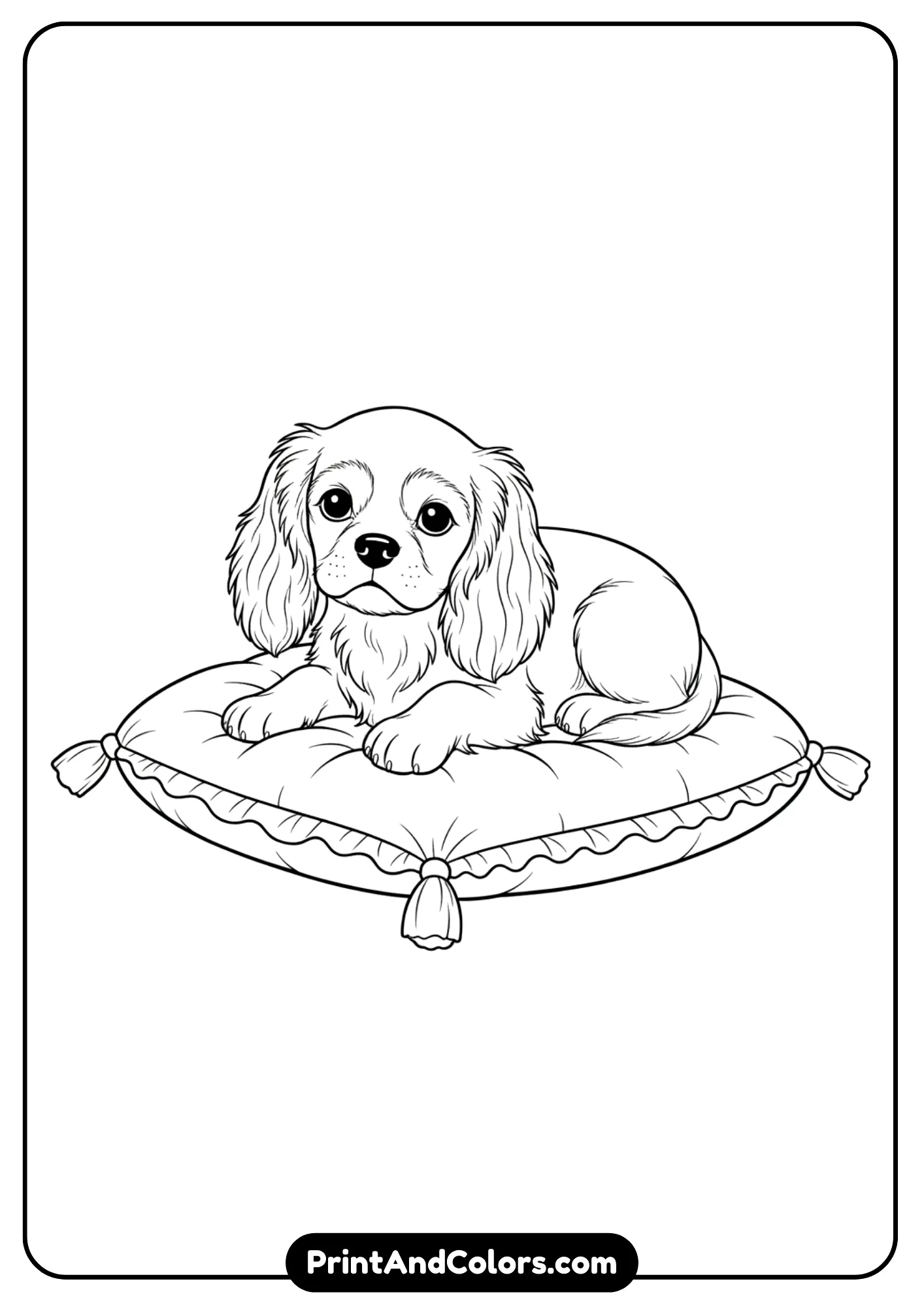 Outline drawing of a Cavalier King Charles Spaniel puppy lying on a soft cushion. Black and white design for coloring pages.