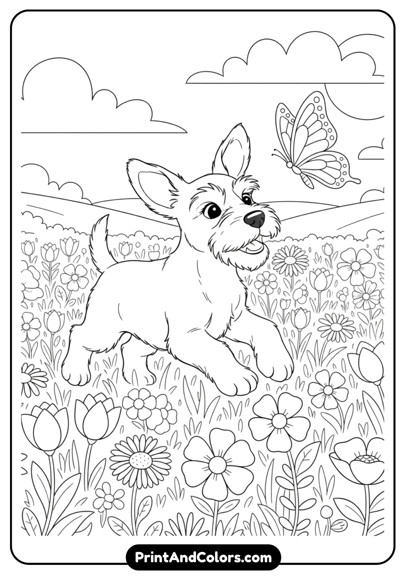 Line art of a Schnauzer puppy running in a flower field while chasing a butterfly. Black and white clear outlines for coloring.