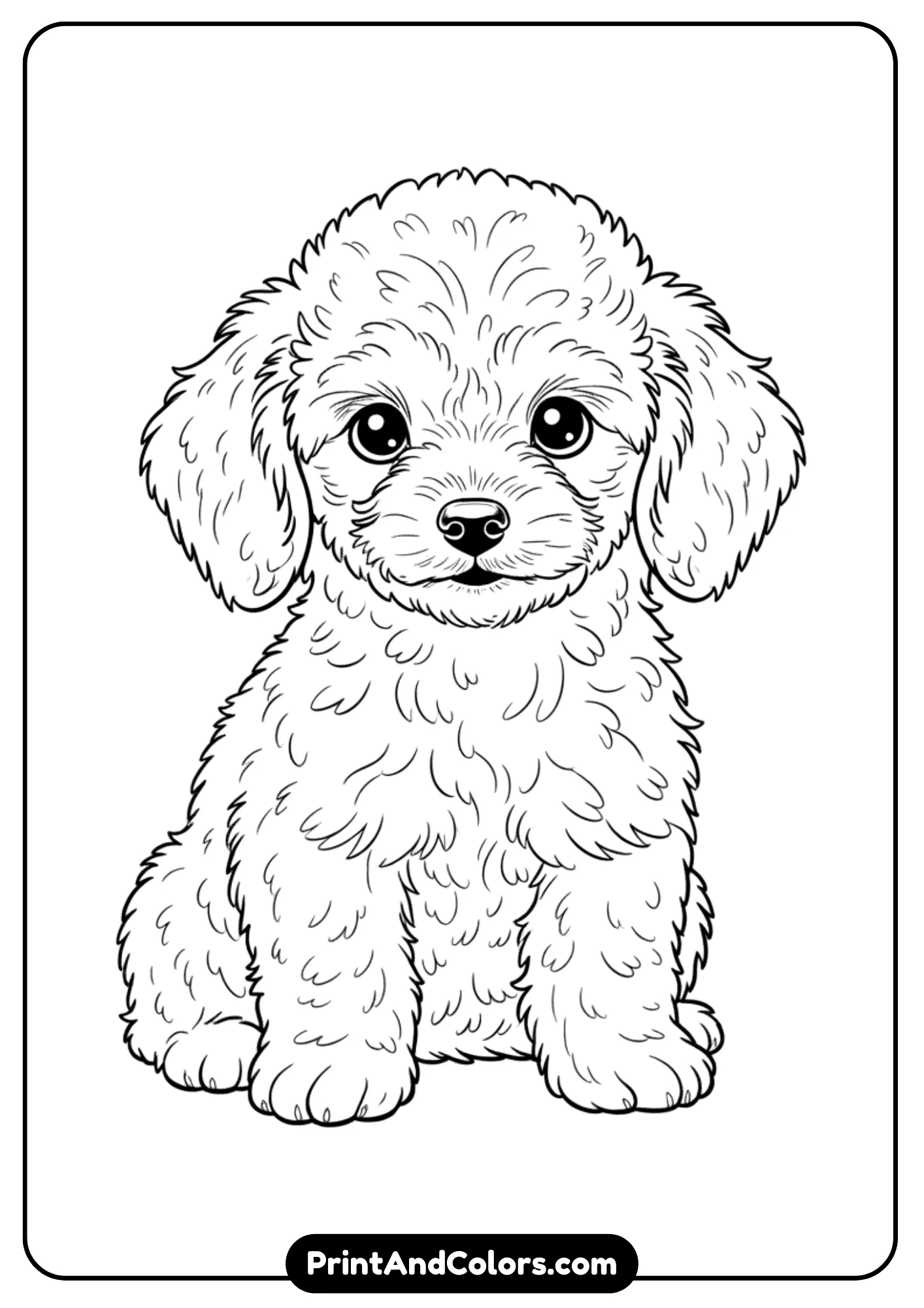 Black and white outline of a small Poodle puppy with fluffy fur and curly ears. Clean lines for coloring.