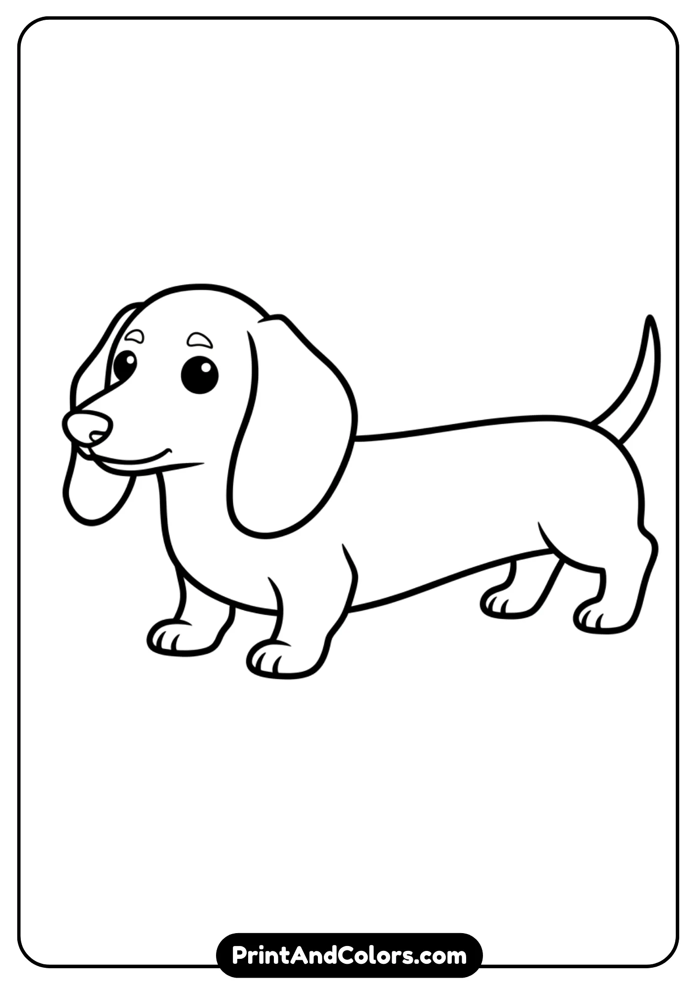 Black and white outline of a Dachshund puppy with a long body and floppy ears. Simple design for coloring pages