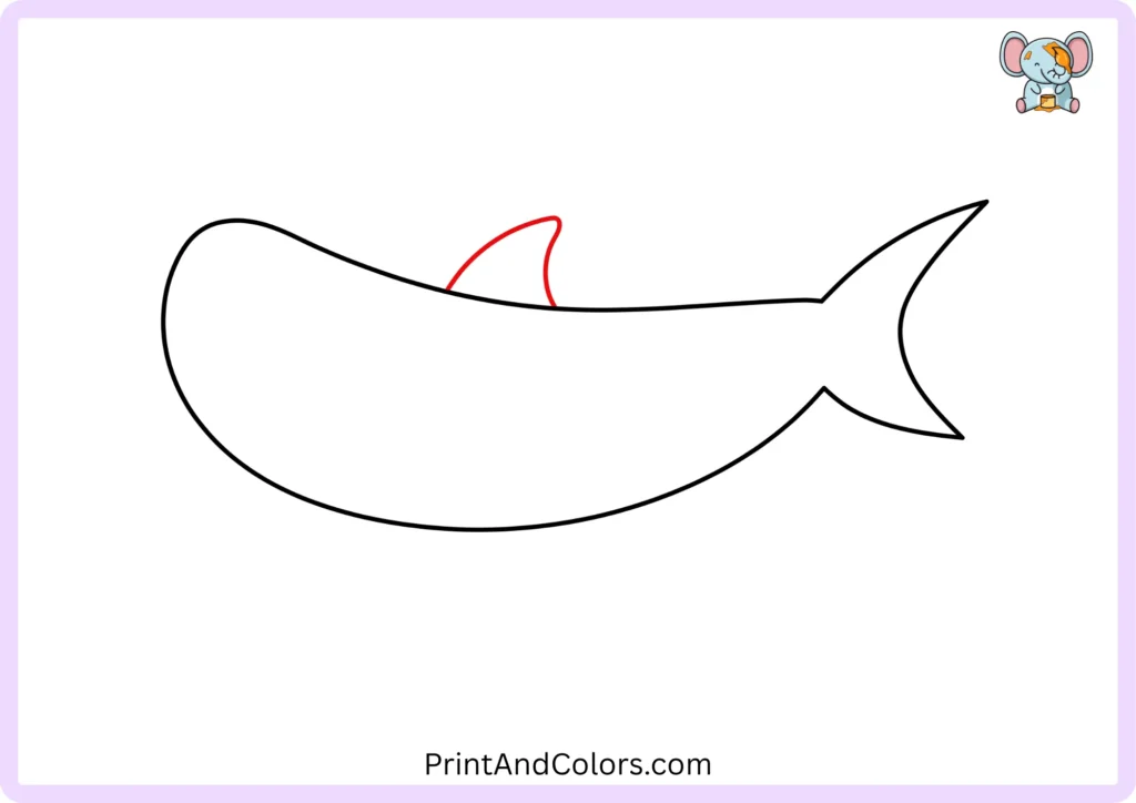 Step 4 showing a curved triangular dorsal fin rising from the top of the shark's back and connecting smoothly to the body