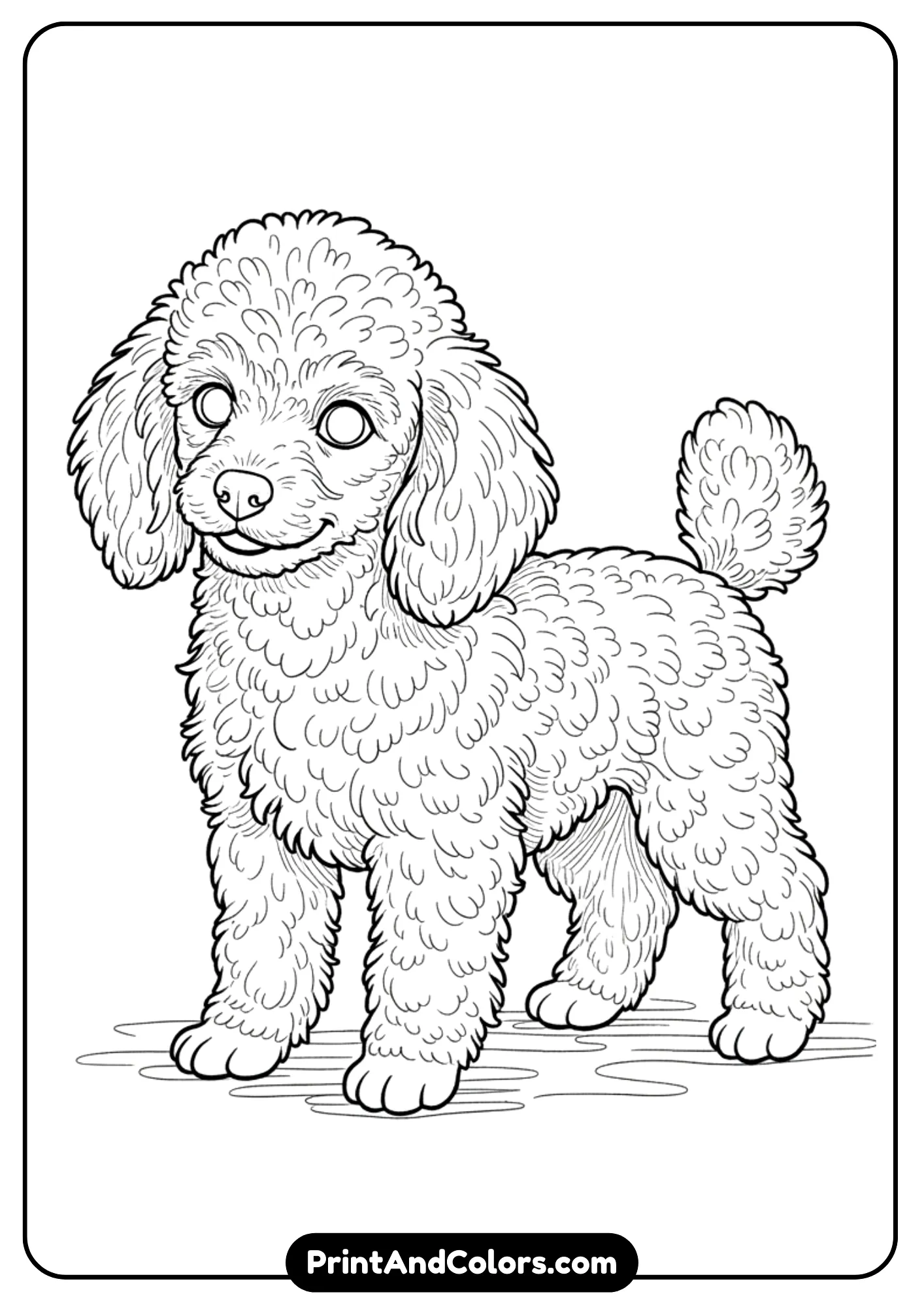 Line drawing of a fluffy Poodle puppy standing with curly fur texture. Black and white outlines suitable for coloring