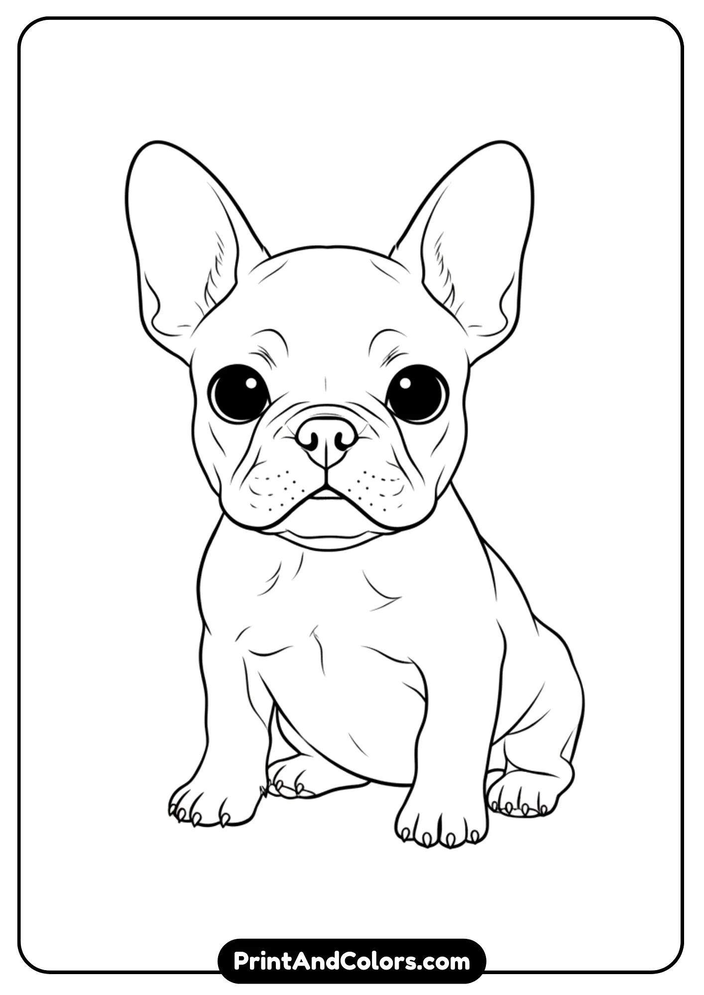 Outline art of a French Bulldog puppy sitting with big round eyes and perked ears. Black and white clean lines for coloring