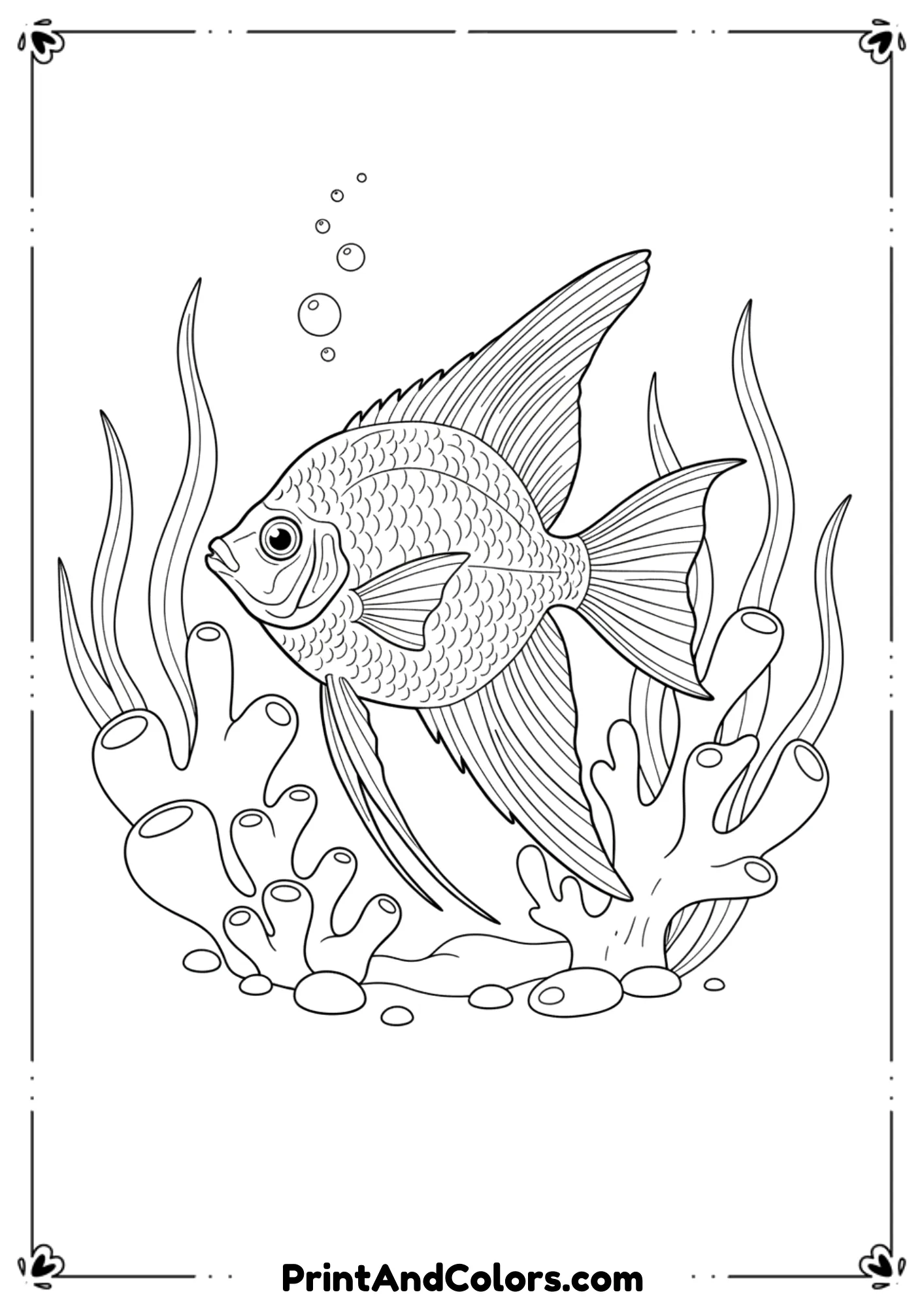 Graceful angelfish surrounded by simple coral shapes and soft seaweed lines. Elegant black and white outlines, no shading.