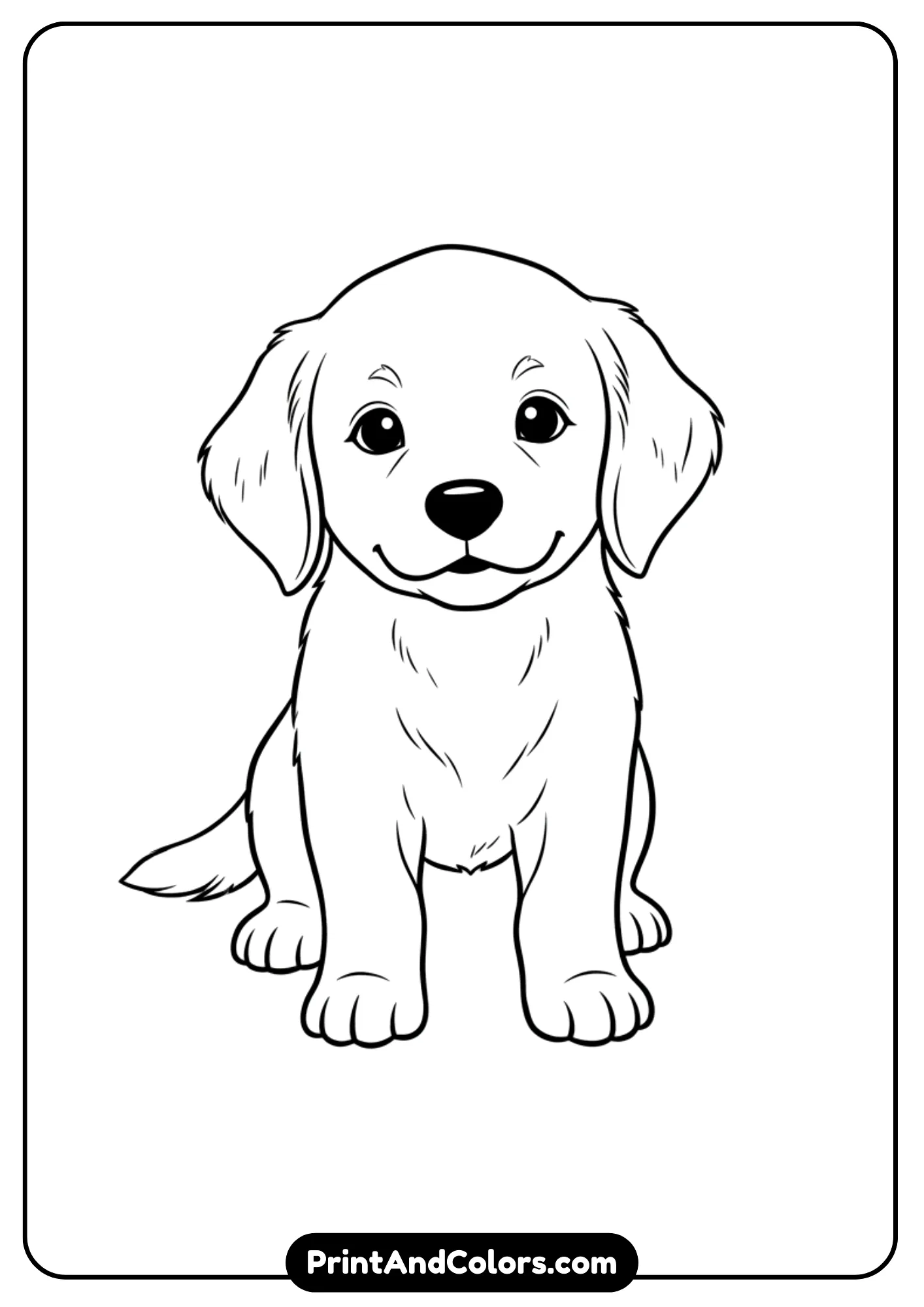 Black and white outline of a Golden Retriever puppy looking straight ahead with a sweet expression. Simple clean lines for coloring.