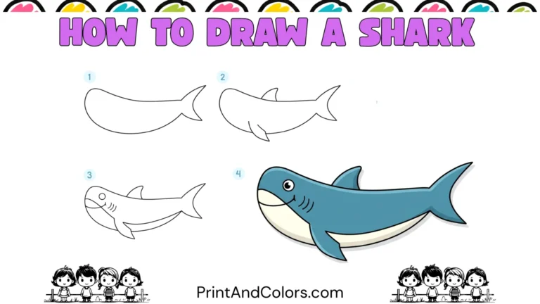 Easy shark drawing for kids showing a finished friendly shark in side view with a streamlined gray body, pointed tail, dorsal fin, pectoral fin, eye, curved mouth, gills, and lighter underbelly