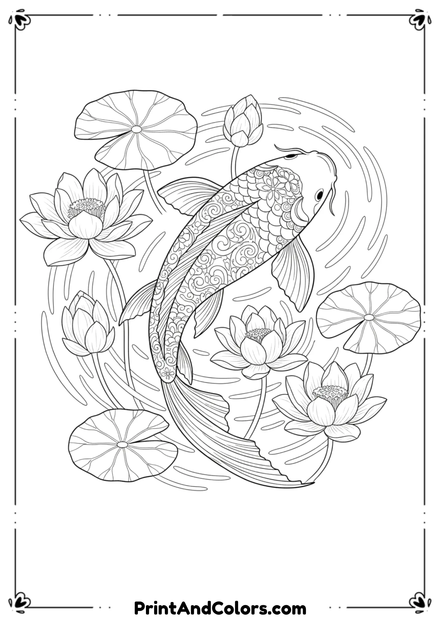 Koi fish with flowing fins and decorative patterns, pond ripples, lotus flowers, and lily pads. Elegant adult coloring page outlines.