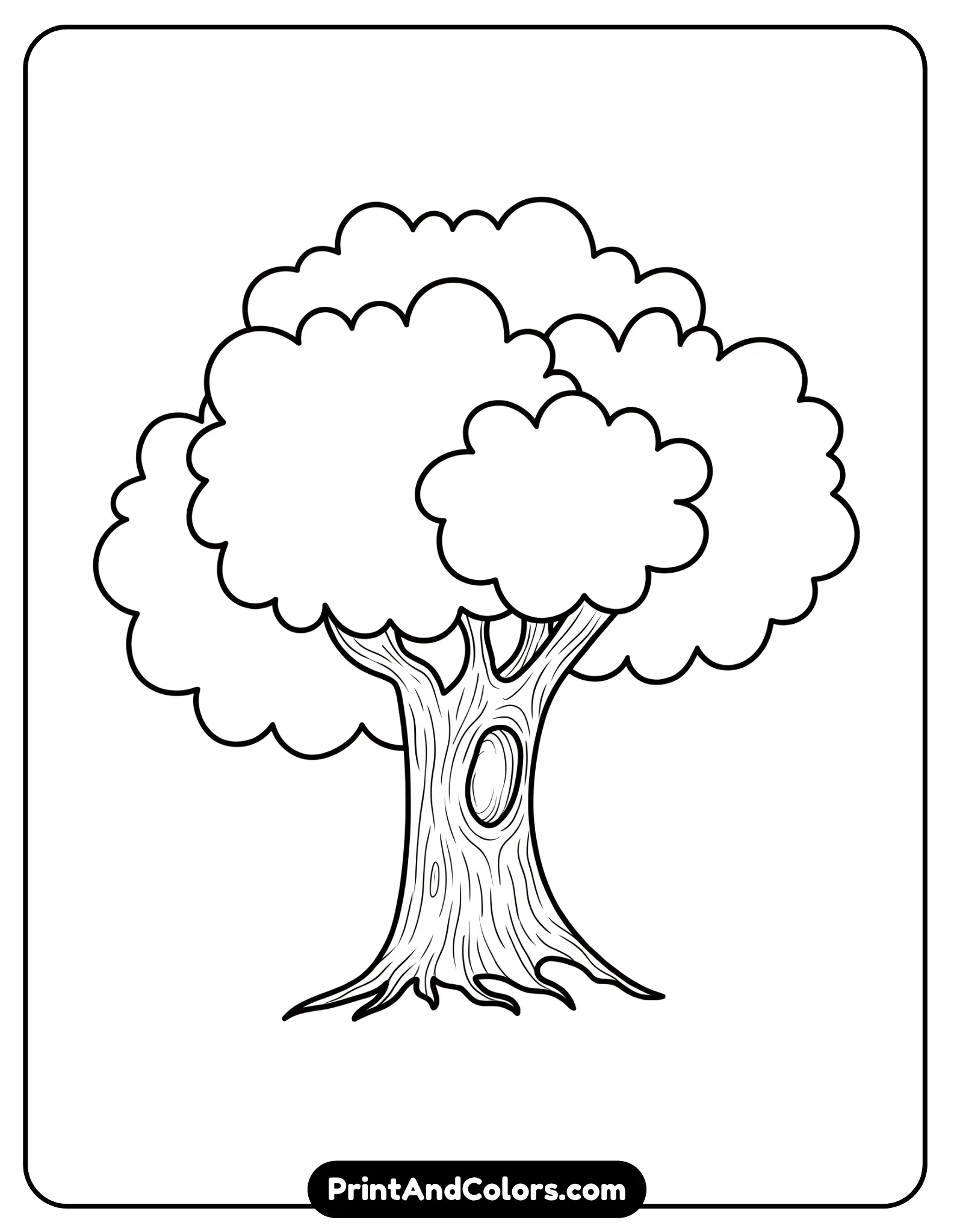 Tree drawing printable book showing multiple pages from the step-by-step drawing activity
