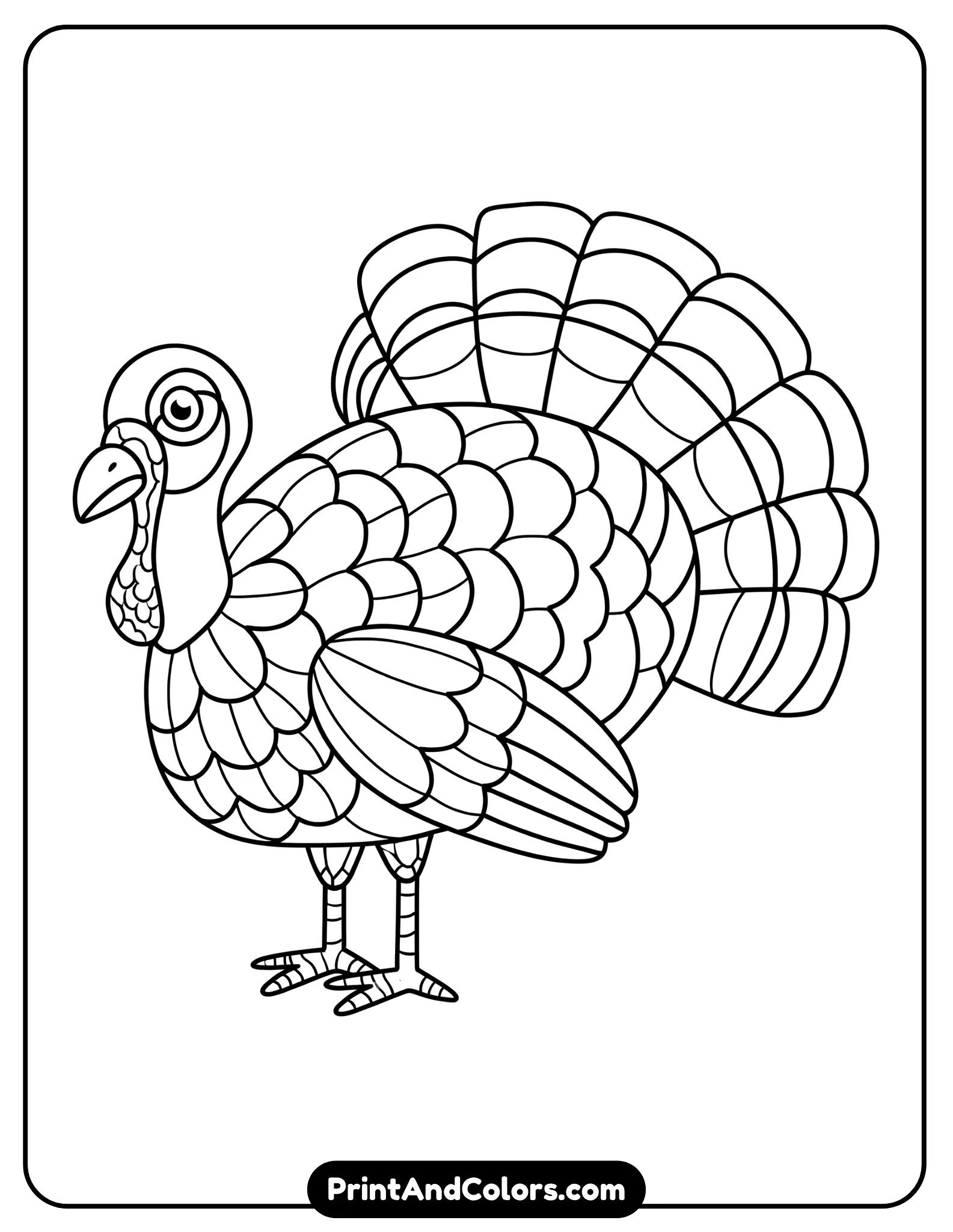 Printable How to Draw a Turkey PDF & Book showing an easy step-by-step turkey drawing guide for kids and beginners