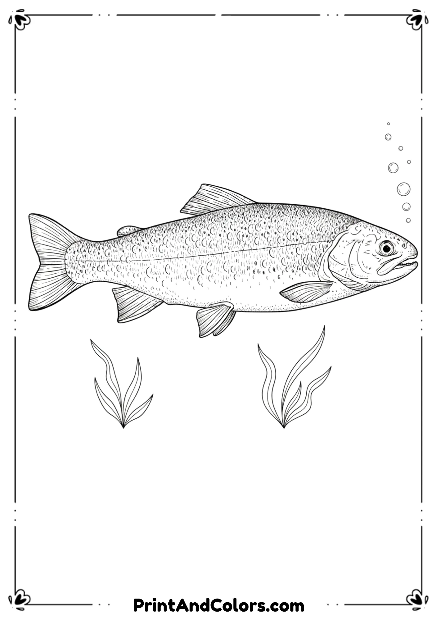 Accurate anatomical outline of a real fish with detailed fins, scales, and natural features. Minimal background plants, clean lines.