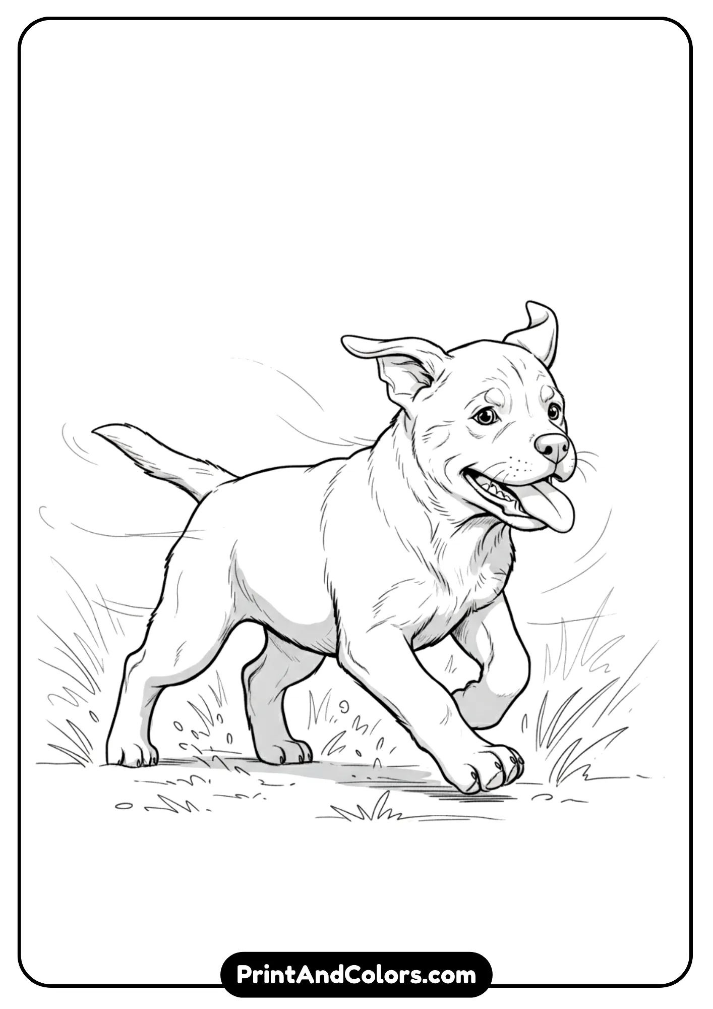 Outline drawing of a Rottweiler puppy running energetically with tongue out. Black and white lines for coloring