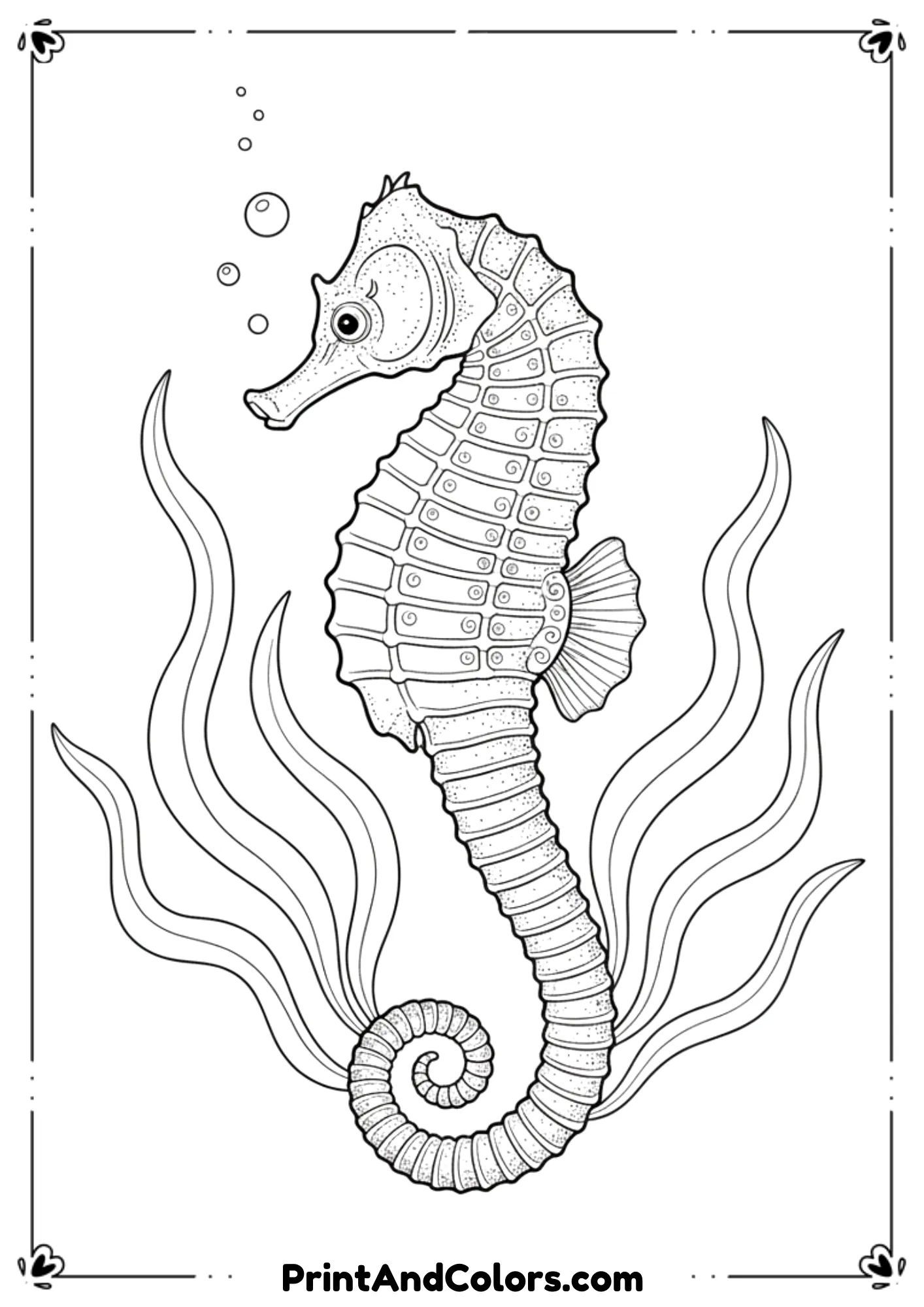 Graceful seahorse with curled tail, textured outline, and simple seaweed plants. Elegant curved line-art, no shading.