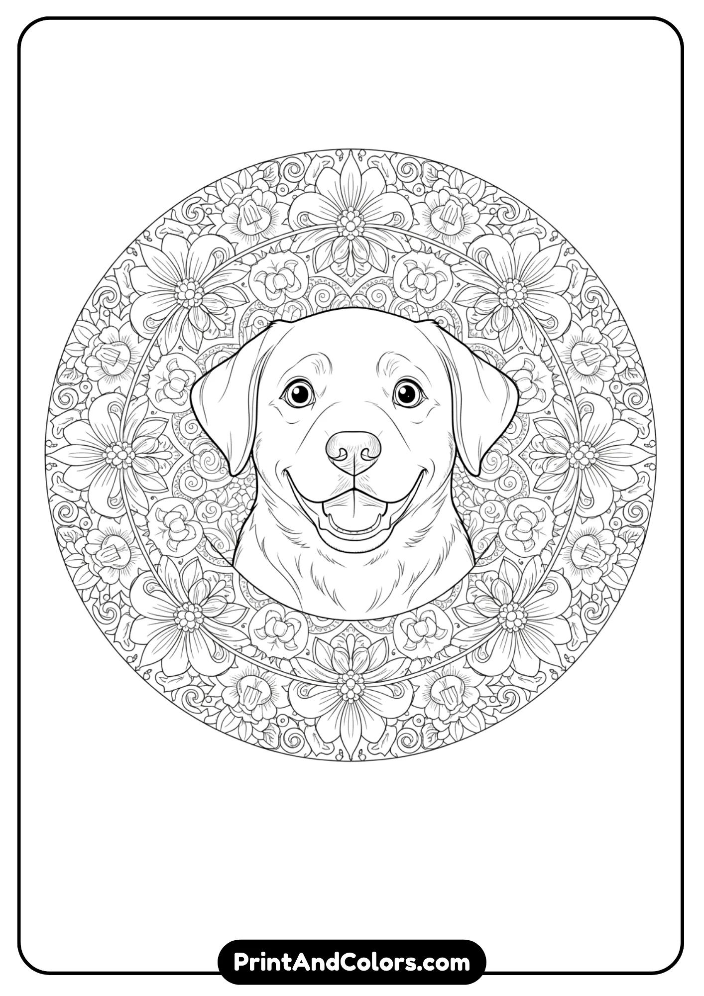 Line art of a smiling Labrador puppy in the center of a floral mandala pattern. Black and white detailed outlines for coloring