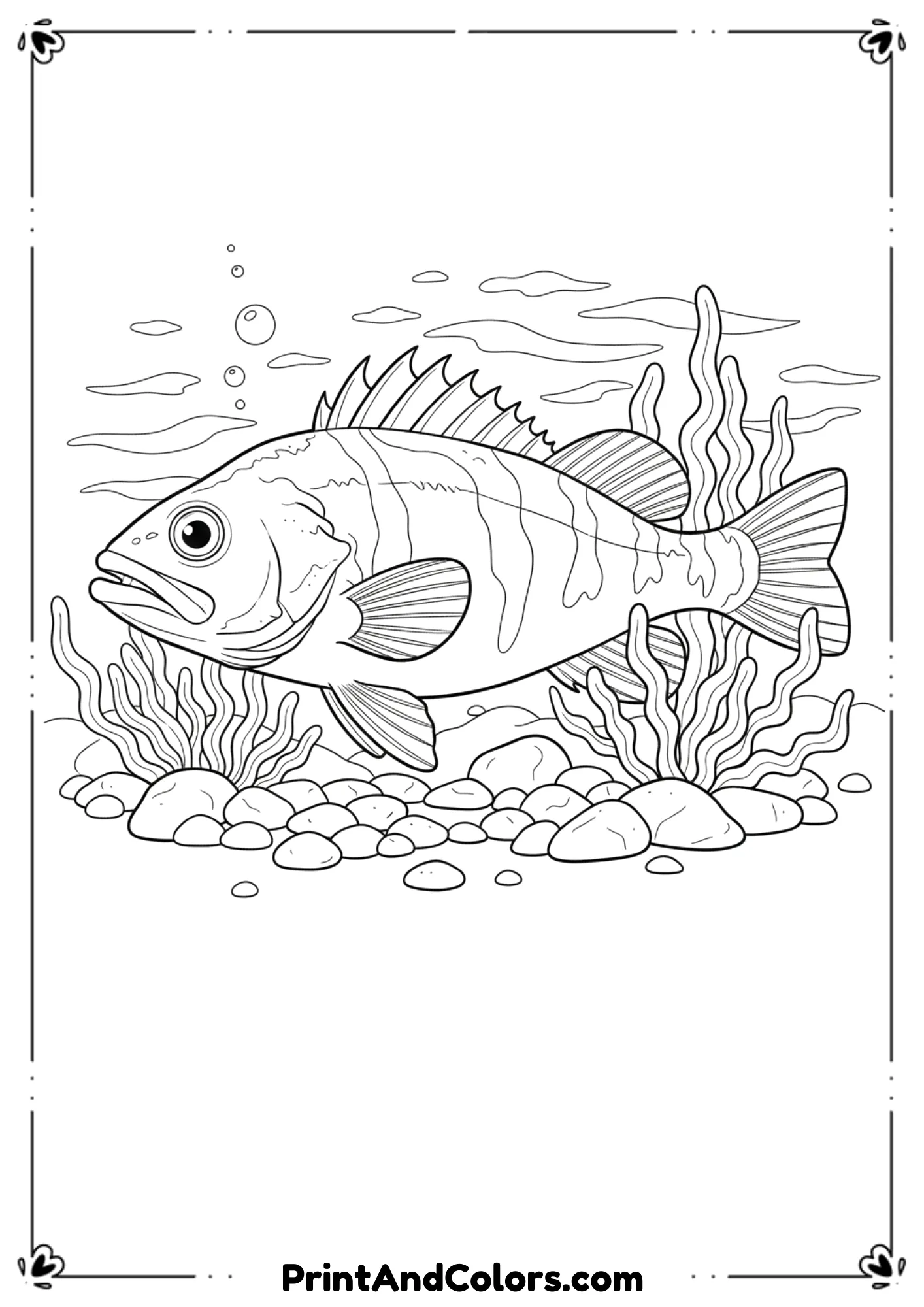 Rockfish with bold stripes and spiny dorsal fins. Add small rocks, seaweed, and ocean lines. Realistic outline but simplified for coloring.