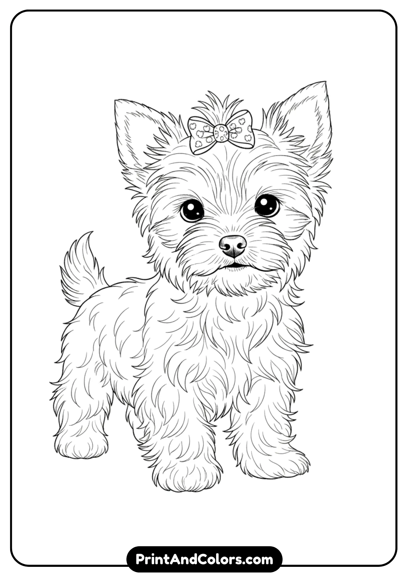 Line art of a Yorkshire Terrier puppy with fluffy fur and a small bow on its head. Black and white outlines for coloring