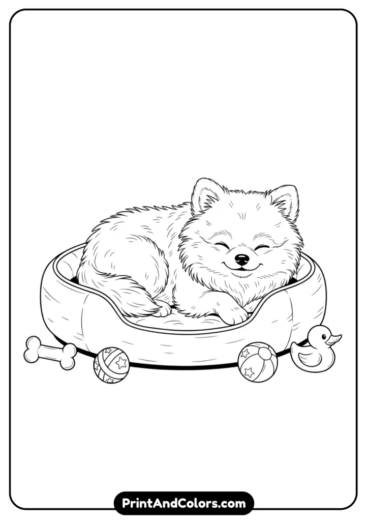 Outline drawing of a fluffy Pomeranian puppy lying in a small dog bed with toys around. Black and white clean lines for coloring